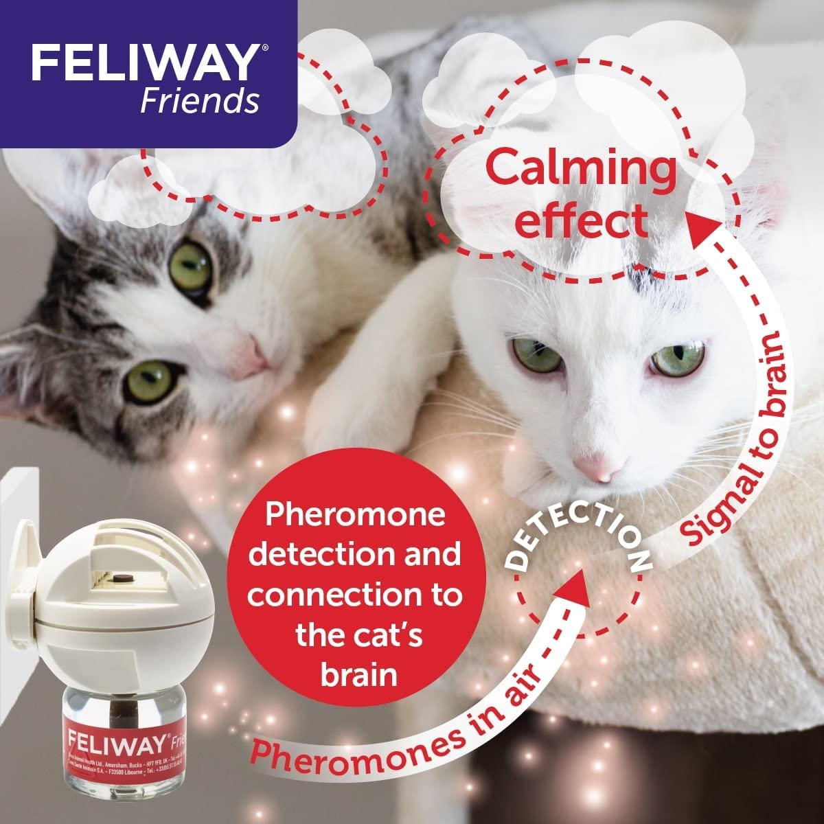 Feliway Friends 30-Day Refill for Diffuser