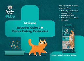 Breeder Celect Recycled Paper PLUS Probiotic 25L