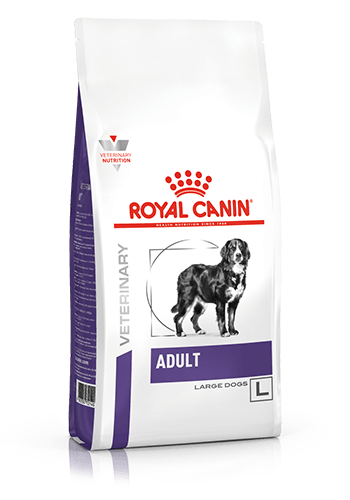 ROYAL CANIN® - Adult Large Dry Dog Food