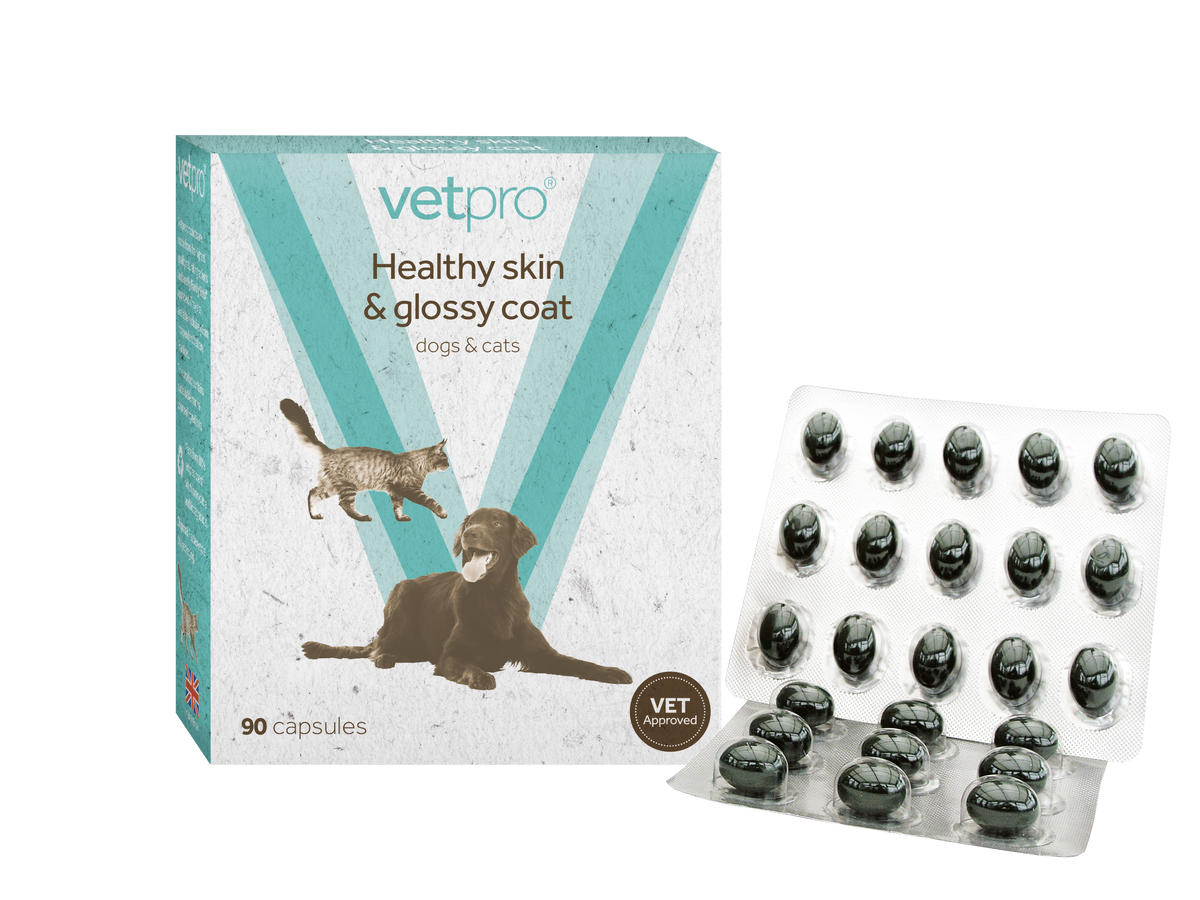 Vetpro Healthy Skin & Glossy Coat - 90 capsules
