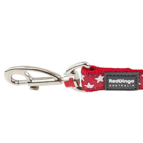 Red Dingo White Star Red Dog Lead