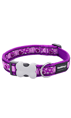 Red Dingo Breezy Love Purple Dog Collar