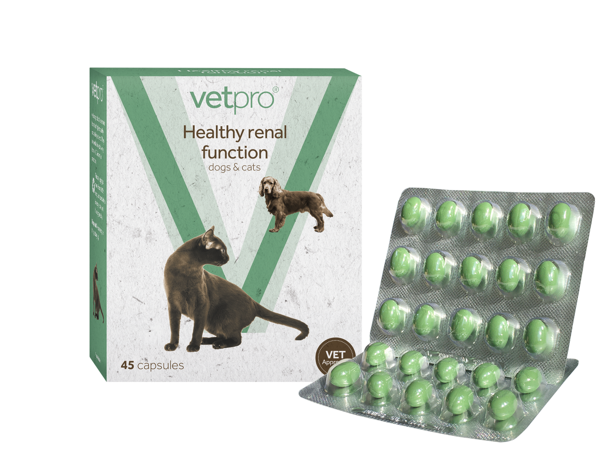 Vetpro Healthy Renal Function - 45 capsules