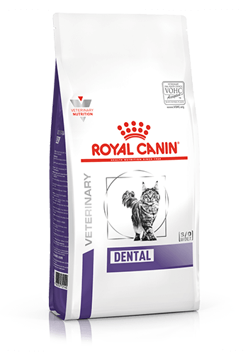 ROYAL CANIN® Dental Adult Dry Cat Food
