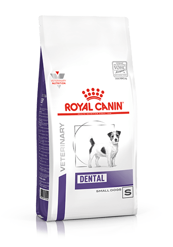 Royal canin dental chews outlet