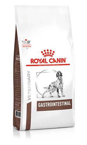 ROYAL CANIN® Gastrointestinal Adult Dry Dog Food