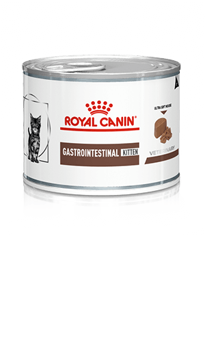 ROYAL CANIN® Gastrointestinal Kitten Wet Cat Food