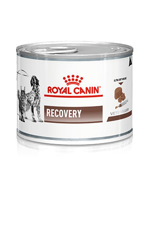 ROYAL CANIN® Recovery Adult Wet Dog & Cat Food