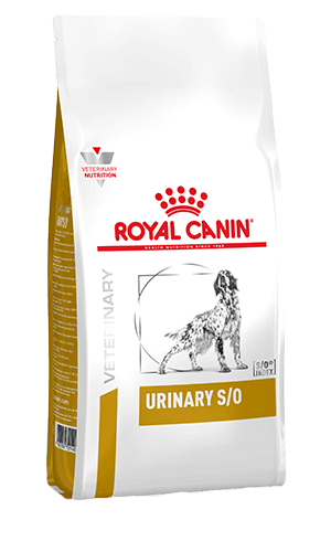 ROYAL CANIN Canine Urinary S O Adult Dry Dog Food