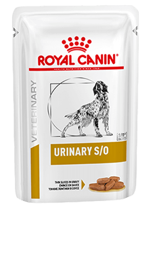 Royal canin so sale
