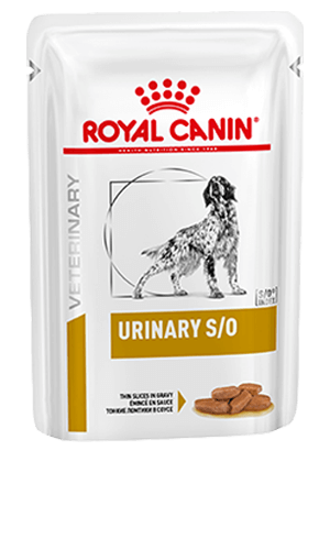 ROYAL CANIN® Canine Urinary S/O Thin Slices in Gravy Adult Wet Dog Food