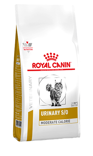 Royal canin urinary so for cats best sale