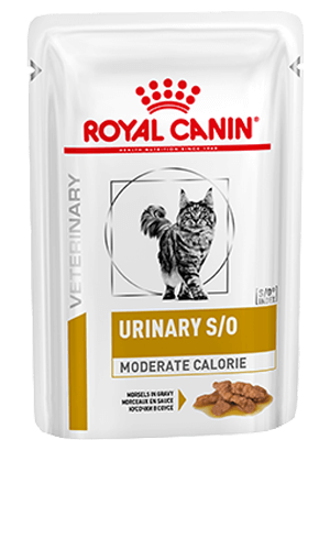 Royal canin urinary so moderate calorie morsels in gravy best sale