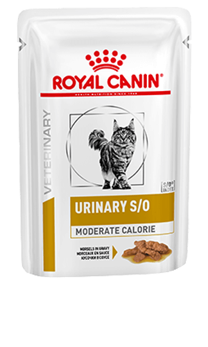 ROYAL CANIN® Feline Urinary S/O Moderate Calorie Morsels in Gravy Adult Wet Cat Food