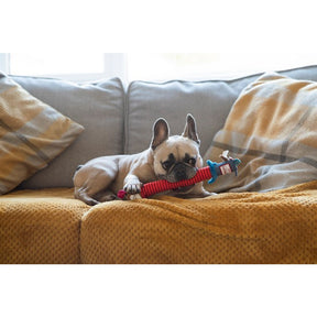 GiGwi Crunchy Neck Plush Friendz Dog S with Bone and Squeaker