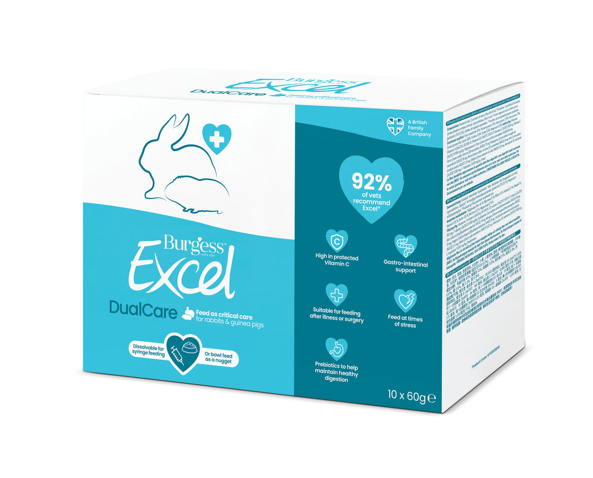 Burgess Excel Dualcare 60g 10pk