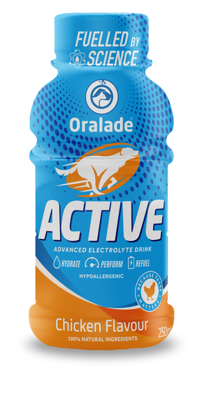 Oralade® Active - Chicken flavour