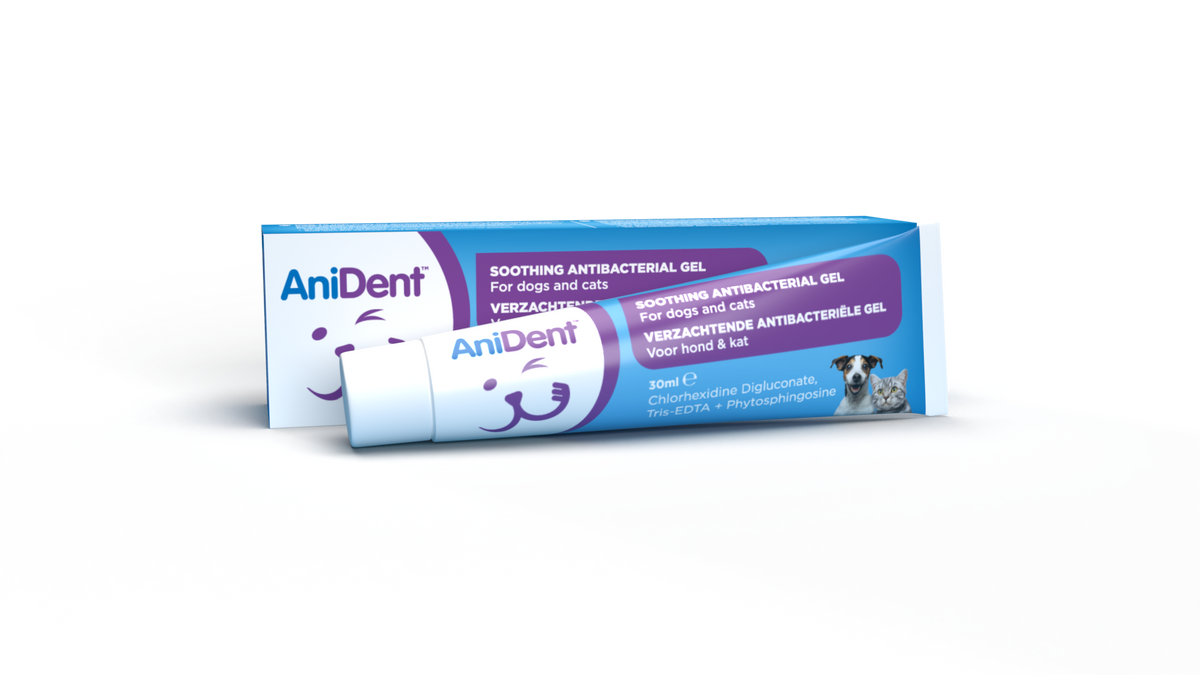 AniDent Soothing Dental Gel