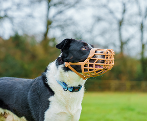 Baskerville Classic Basket Dog Muzzle