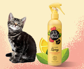 Pet Head Felin' Good Cat Dry Clean Spray