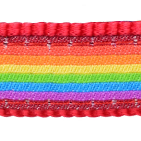 Red Dingo Rainbow Dog Collar