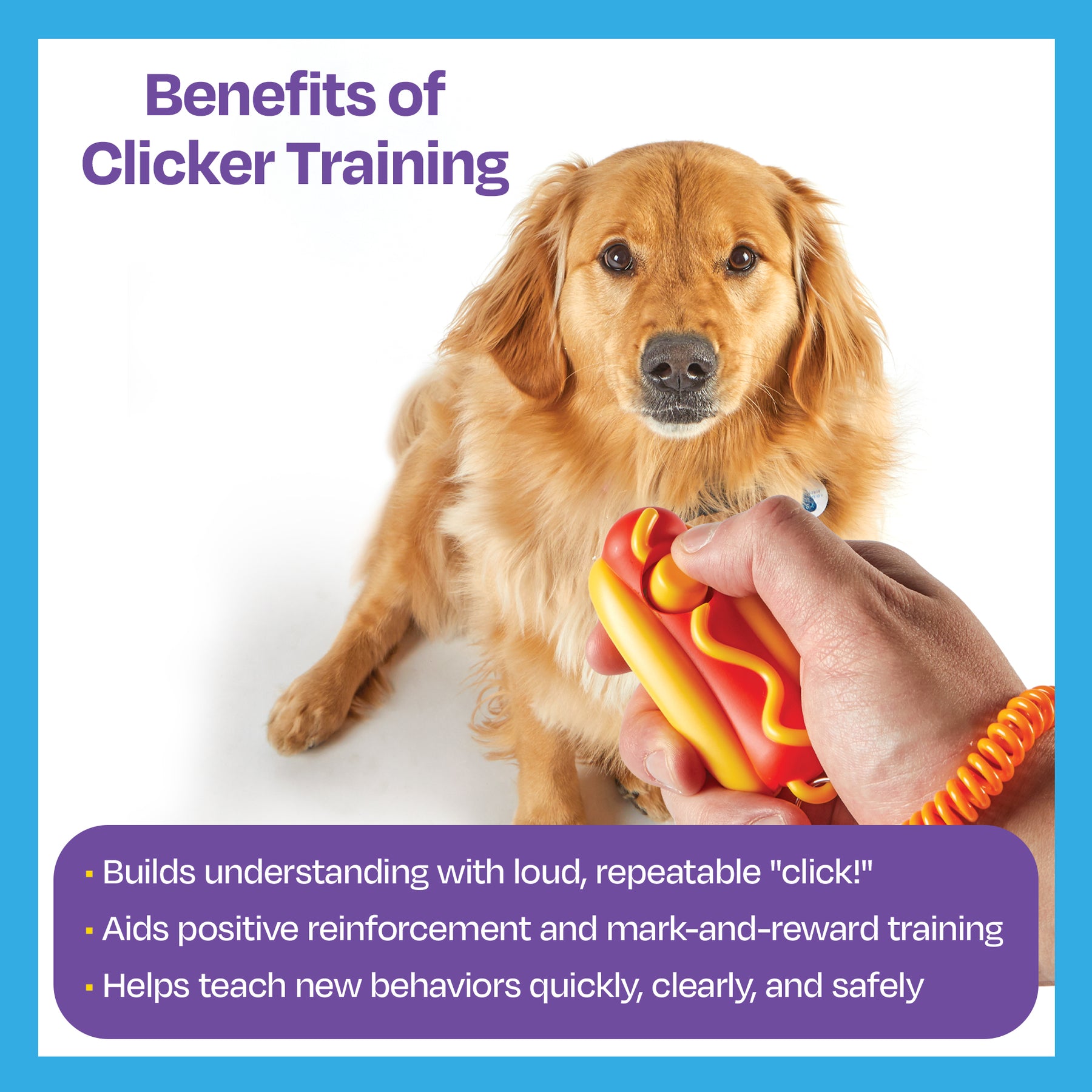 Brightkins Smarty Pooch Training Clicker - Hot Dog
