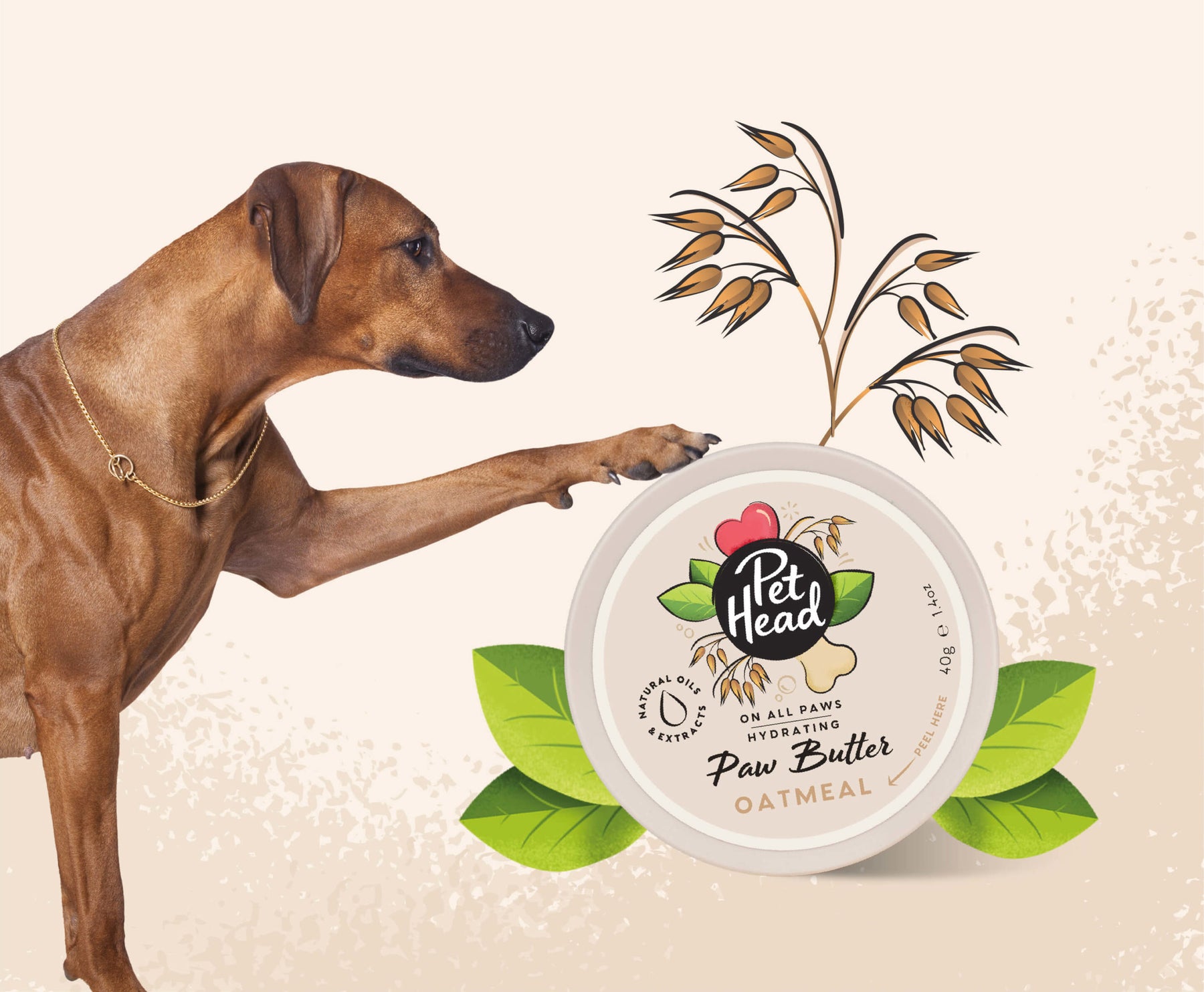 Pet Head On All Paws Paw Butter Oatmeal