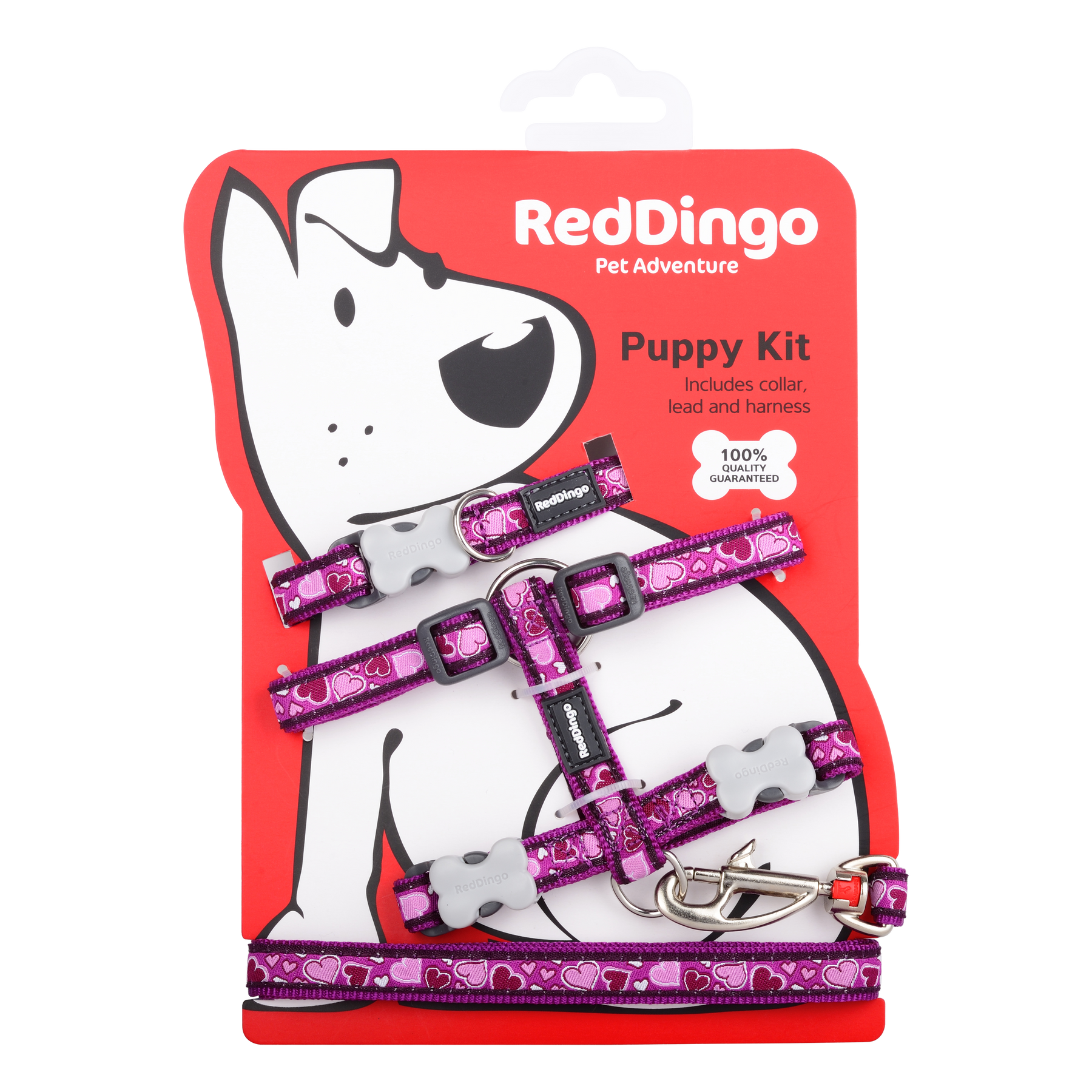 Red Dingo Puppy Kit Breezy Love Purple