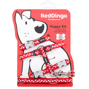 Red Dingo Puppy Kit Spots Red