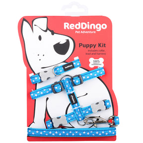 Red Dingo Puppy Kit Stars Turquoise