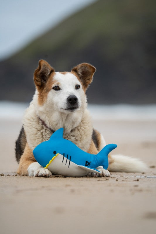 Petface Planet Salina Shark Dog Toy