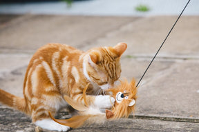 Petface Catkins Catnip Lion Teaser Cat Toy
