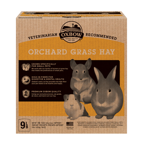 Oxbox Orchard Grass