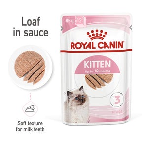 ROYAL CANIN FELINE HEALTH NUTRITION WET KITTEN Loaf in sauce Wet Pet Food
