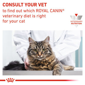 ROYAL CANIN® Veterinary Health Nutrition Renal with Beef