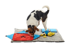 Buster Activity Mat Cone Cloth Task