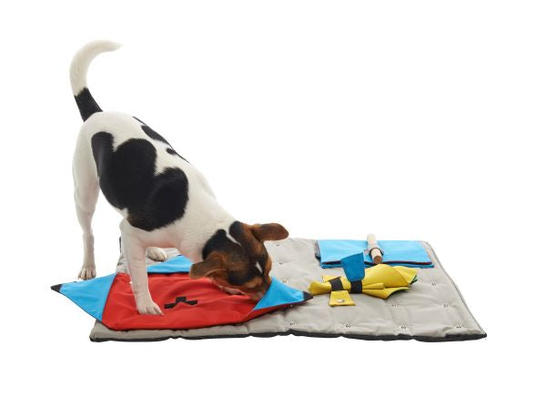 Buster Activity Mat Purse With 3 Pockets Task