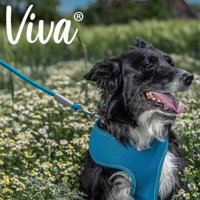 Viva Rope Dog Lead Reflective Blue