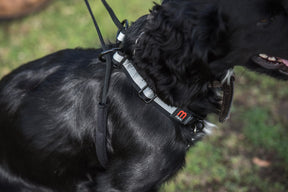 Mikki Walkrite/ Anti-Pull Dog Harness Medium
