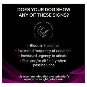 PURINA® PRO PLAN® Veterinary Diets - Canine UR Urinary