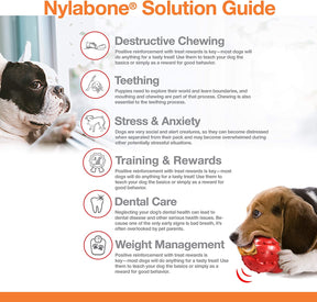 Nylabone Extreme Texture Bone Beef with Cheese Small
