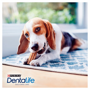PURINA® Dentalife Dog Treat Dental Chew