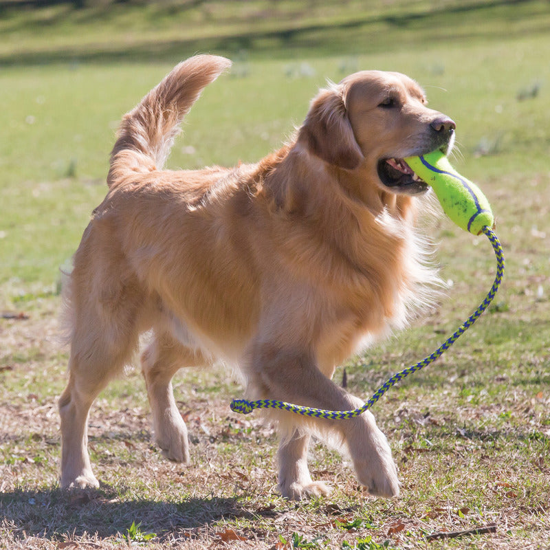 KONG AirDog Fetch Stick with Rope