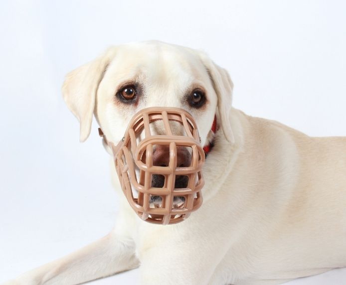 Baskerville Anti Scavenge Dog Muzzle