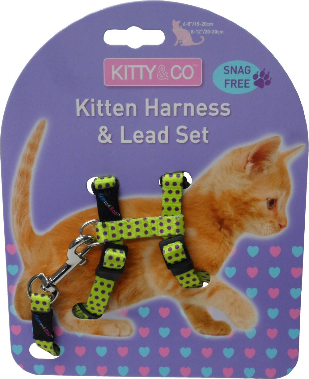 Spotty Snag-Free Kitten Harness And Lead Set