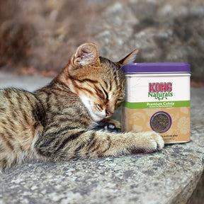 KONG Cat Catnip Premium (2 sizes)