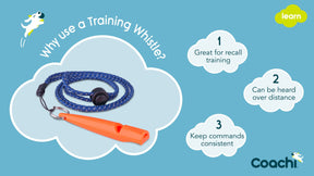Coachi Training Whistle (Navy or Coral)