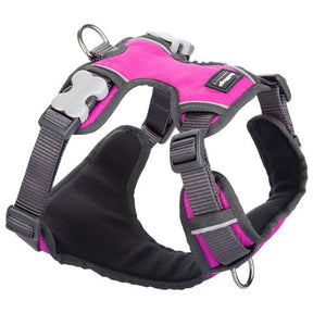 Red Dingo Padded Hot Pink Dog Harness