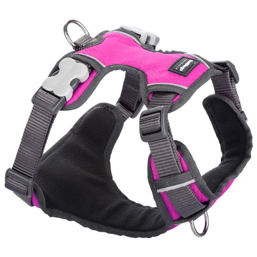 Red Dingo Padded Hot Pink Dog Harness