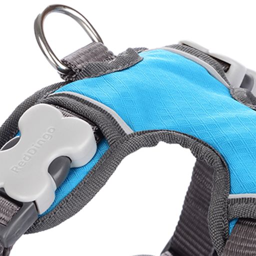 Red Dingo Padded Turquoise Dog Harness